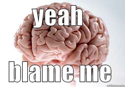 YEAH  BLAME ME Scumbag Brain