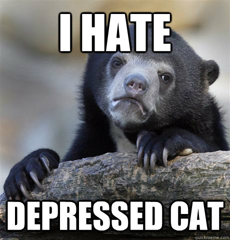 I Hate depressed cat  Confession Bear
