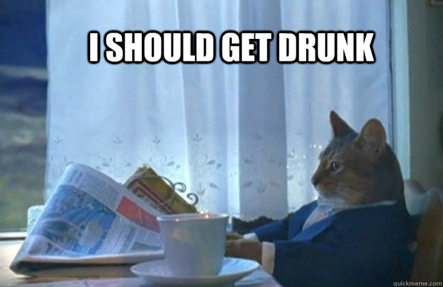I should get drunk  Sophisticated Cat