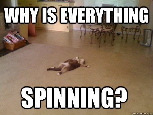 WHY IS EVERYTHING SPINNING?  Down Cat