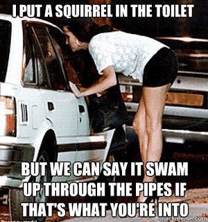 I put a squirrel in the toilet but we can say it swam up through the pipes if that's what you're into  Karma Whore