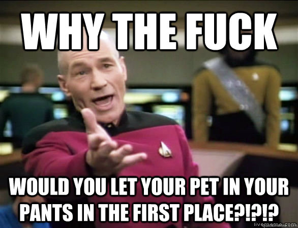 Why the fuck Would you let your pet in your pants in the first place?!?!?  Annoyed Picard HD