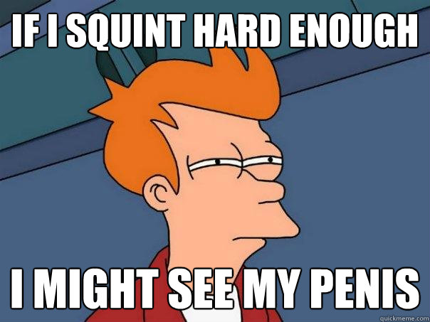 IF I SQUINT HARD ENOUGH i might see my penis  Futurama Fry