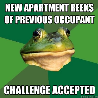 new apartment reeks of previous occupant challenge accepted  Foul Bachelor Frog