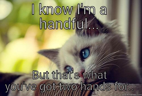I KNOW I'M A HANDFUL... BUT THAT'S WHAT YOU'VE GOT TWO HANDS FOR.. First World Problems Cat