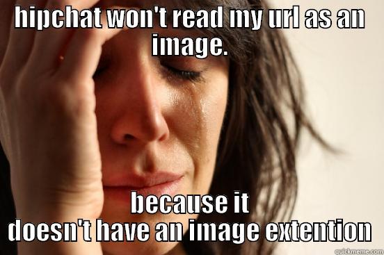HIPCHAT WON'T READ MY URL AS AN IMAGE. BECAUSE IT DOESN'T HAVE AN IMAGE EXTENTION First World Problems