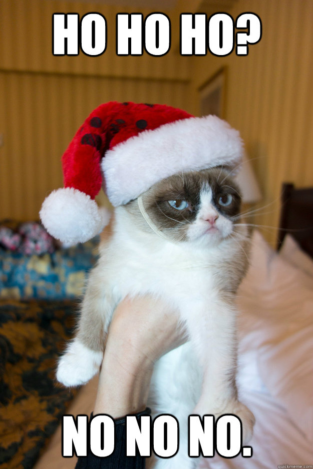 Ho Ho Ho? No No No.  Grumpy xmas