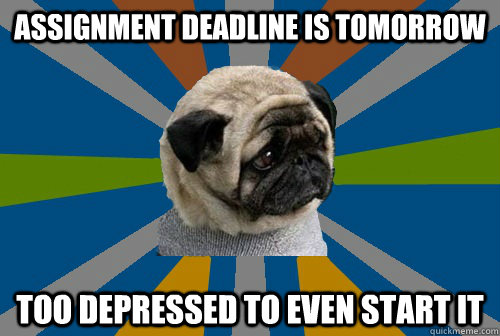 Assignment deadline is tomorrow too depressed to even start it  Clinically Depressed Pug