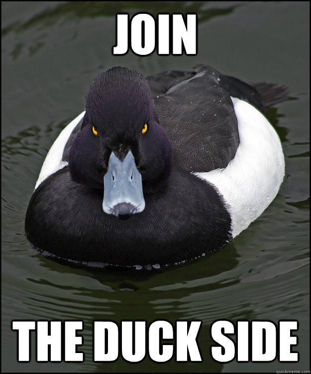Join the duck side - Join the duck side  Angry Advice Duck