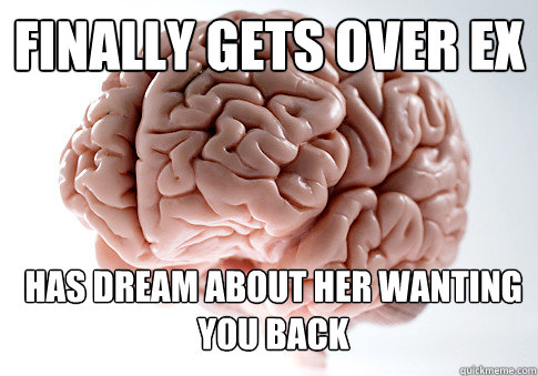 Finally gets over ex has dream about her wanting you back   Scumbag Brain