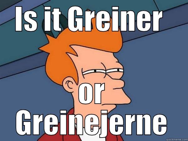 IS IT GREINER  OR GREINEJERNE Futurama Fry