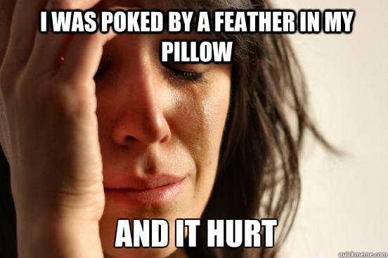 I was poked by a feather in my pillow and it hurt  1st World Problems