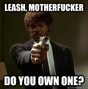 Leash, motherfucker Do you own one?  Friendzoned Jules