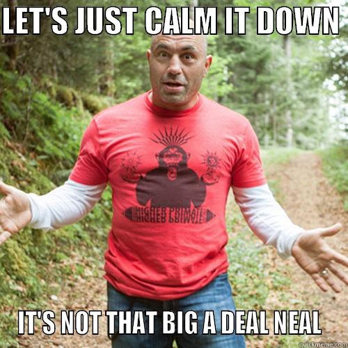 LET'S JUST CALM IT DOWN  IT'S NOT THAT BIG A DEAL NEAL  Misc