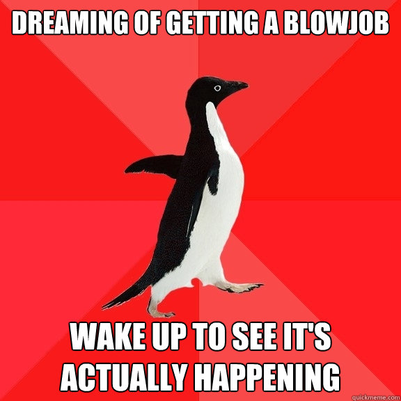 dreaming of getting a blowjob wake up to see it's actually happening - dreaming of getting a blowjob wake up to see it's actually happening  Socially Awesome Penguin