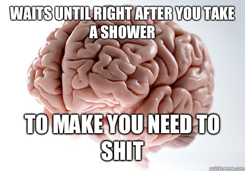 Waits until right after you take a shower To make you need to shit  ScumbagBrain