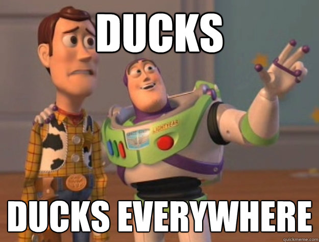Ducks Ducks everywhere  Buzz Lightyear