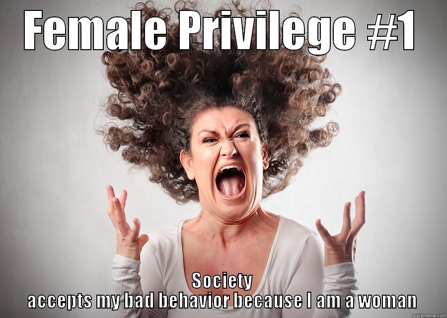 FEMALE PRIVILEGE #1 SOCIETY ACCEPTS MY BAD BEHAVIOR BECAUSE I AM A WOMAN Misc