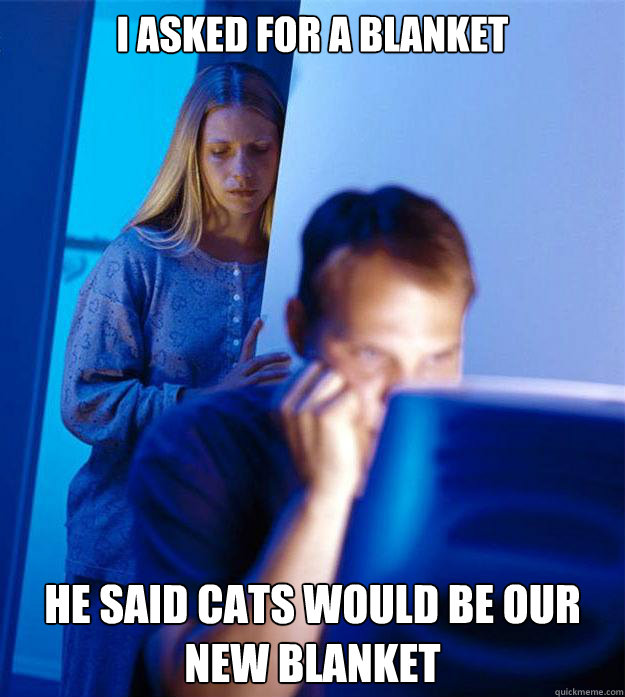 I asked for a blanket he said cats would be our new blanket  Redditors Wife
