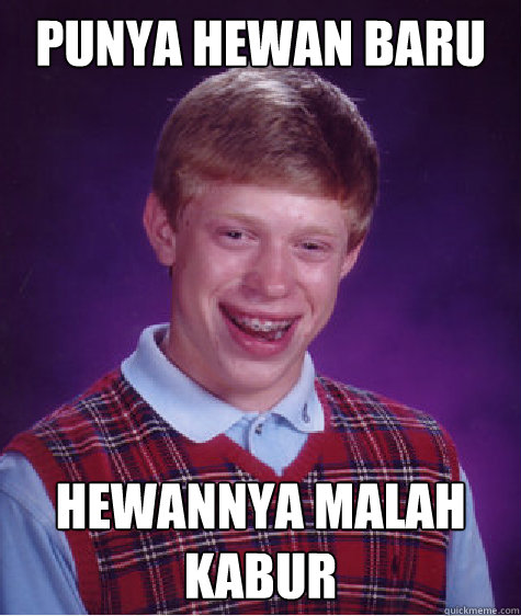 Punya hewan baru  Hewannya malah kabur  Bad Luck Brian
