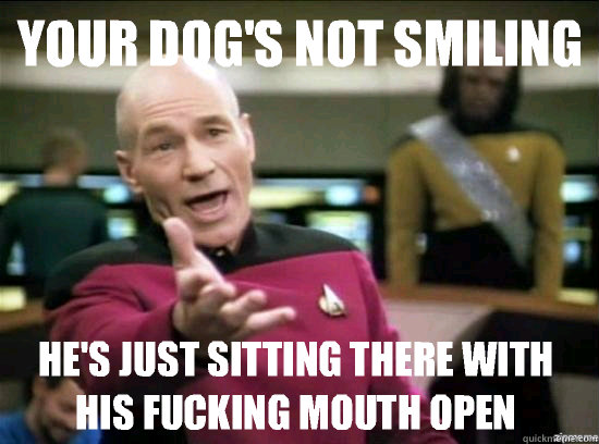 YOUR dog's not smiling
 HE'S JUST SITTING THERE WITH HIS FUCKING MOUTH OPEN   Annoyed Picard HD