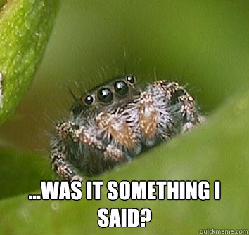  ...was it something I said? -  ...was it something I said?  Misunderstood Spider