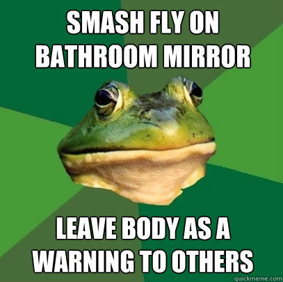 Smash fly on bathroom mirror Leave body as a warning to others - Smash fly on bathroom mirror Leave body as a warning to others  Foul Bachelor Frog