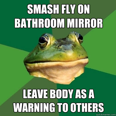 Smash fly on bathroom mirror Leave body as a warning to others  Foul Bachelor Frog