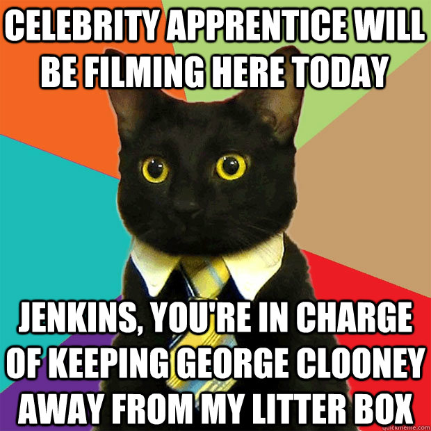 Celebrity apprentice will be filming here today Jenkins, you're in charge of keeping george clooney away from my litter box  Business Cat