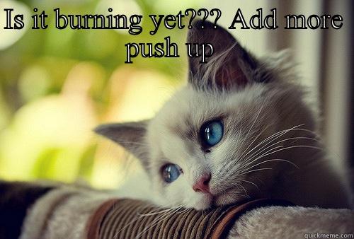 You think you're the boss? - IS IT BURNING YET??? ADD MORE PUSH UP   First World Problems Cat