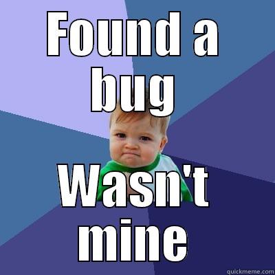 FOUND A BUG WASN'T MINE Success Kid