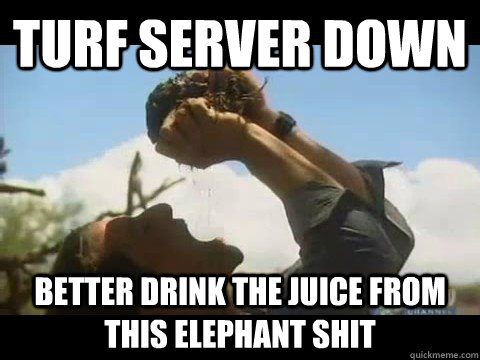turf server down better drink the juice from this elephant shit  Bear Grylls