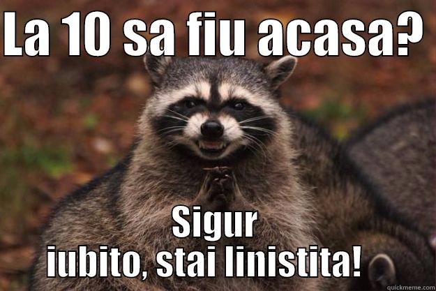 LA 10 SA FIU ACASA?  SIGUR IUBITO, STAI LINISTITA!    Evil Plotting Raccoon