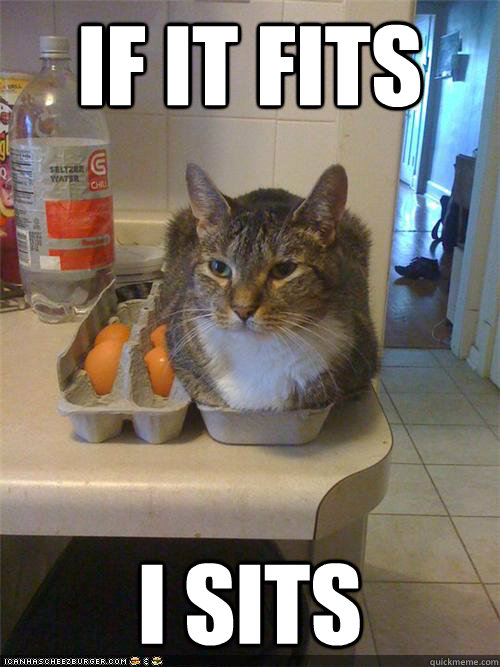 if it fits i sits - if it fits i sits  If It Fits I Sits