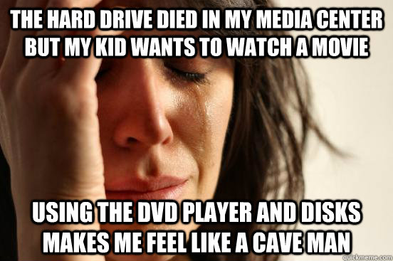 The hard drive died in my media center but my kid wants to watch a movie Using the dvd player and disks makes me feel like a cave man  First World Problems
