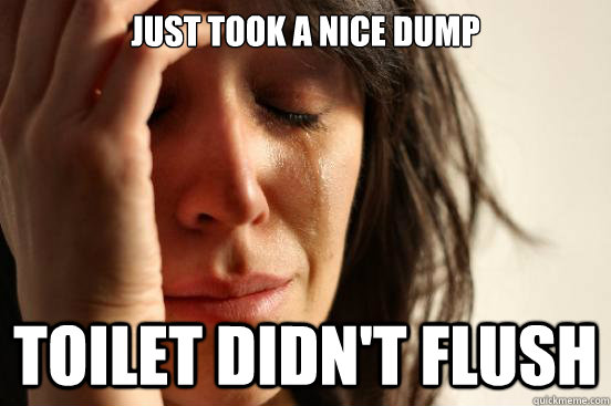 Just took a nice dump Toilet didn't flush    First World Problems
