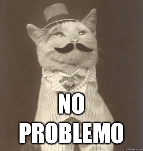 No problemo  Original Business Cat