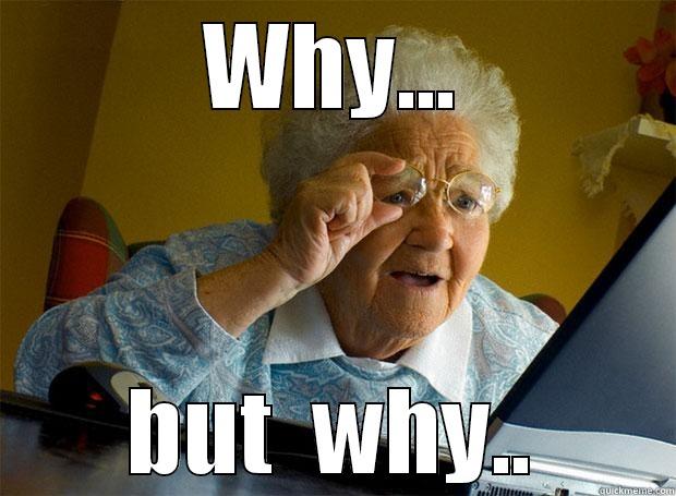 WHY... BUT  WHY.. Grandma finds the Internet