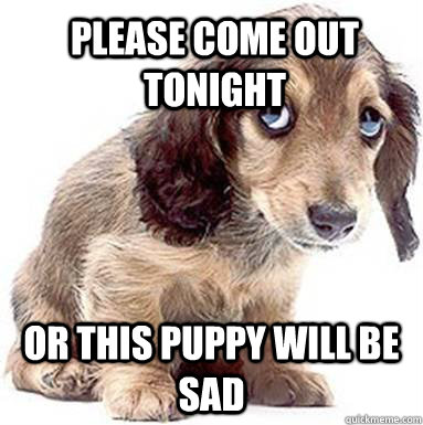 Please come out tonight Or this Puppy will be sad  Sad Puppy