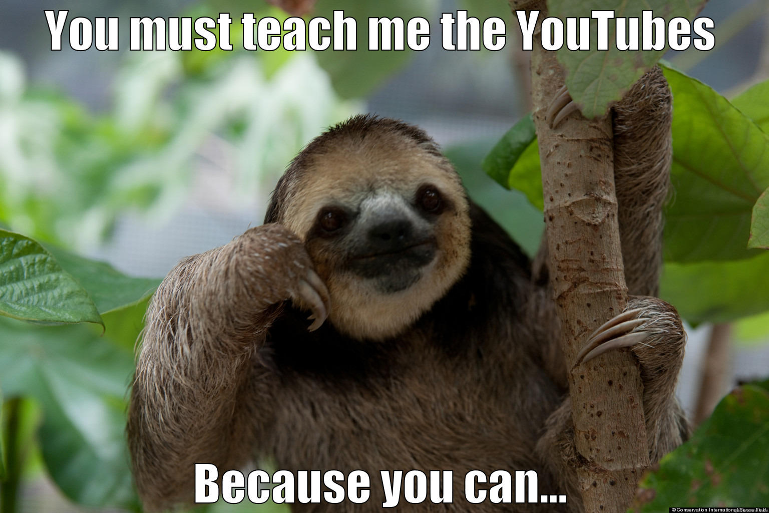 YOU MUST TEACH ME THE YOUTUBES BECAUSE YOU CAN... Misc