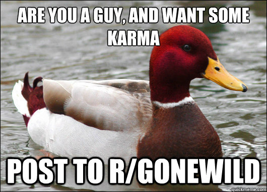 are you a guy, and want some karma
 post to r/gonewild  Malicious Advice Mallard