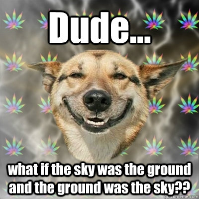Dude... what if the sky was the ground and the ground was the sky?? - Dude... what if the sky was the ground and the ground was the sky??  Stoner Dog