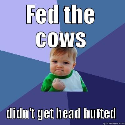 FED THE COWS DIDN'T GET HEAD BUTTED Success Kid