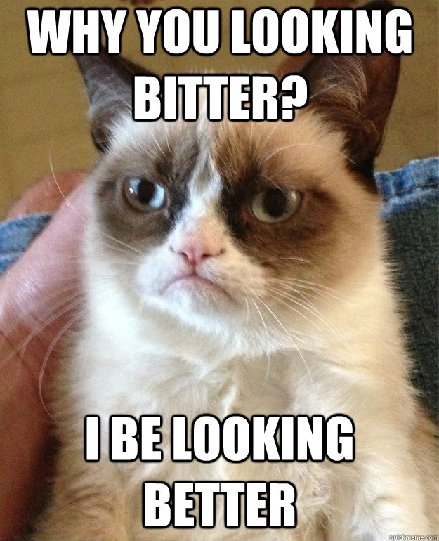Why you looking bitter? I be looking better  Grumpy Cat