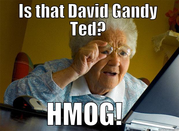 IS THAT DAVID GANDY TED? HMOG!  Grandma finds the Internet