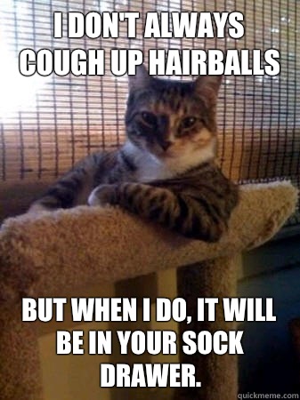 I don't always cough up hairballs but when I do, it will be in your sock drawer.  The Most Interesting Cat in the World