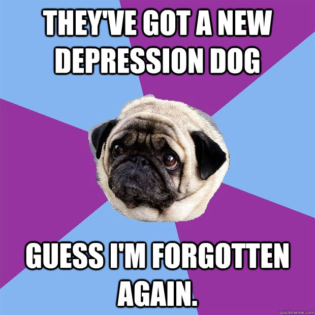 they've got a new depression dog guess I'm forgotten again.  Lonely Pug