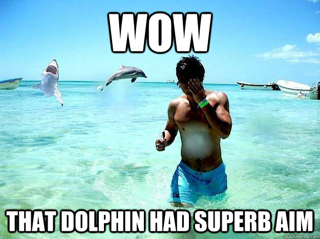 wow that dolphin had superb aim  ogr8 h-bomb