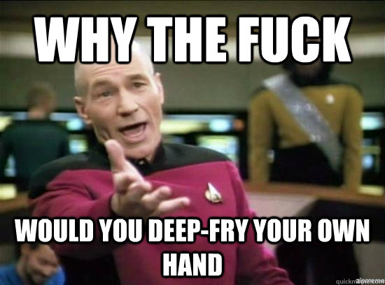 Why the fuck would you deep-fry your own hand  Annoyed Picard HD