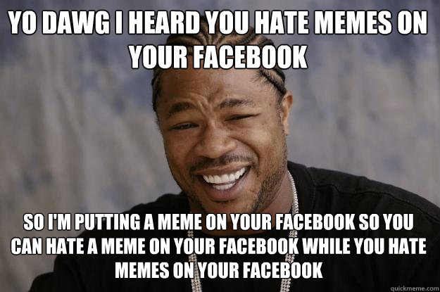 Yo dawg I heard you hate memes on your Facebook so I'm putting a meme on your Facebook so you can hate a meme on your Facebook while you hate memes on your Facebook  